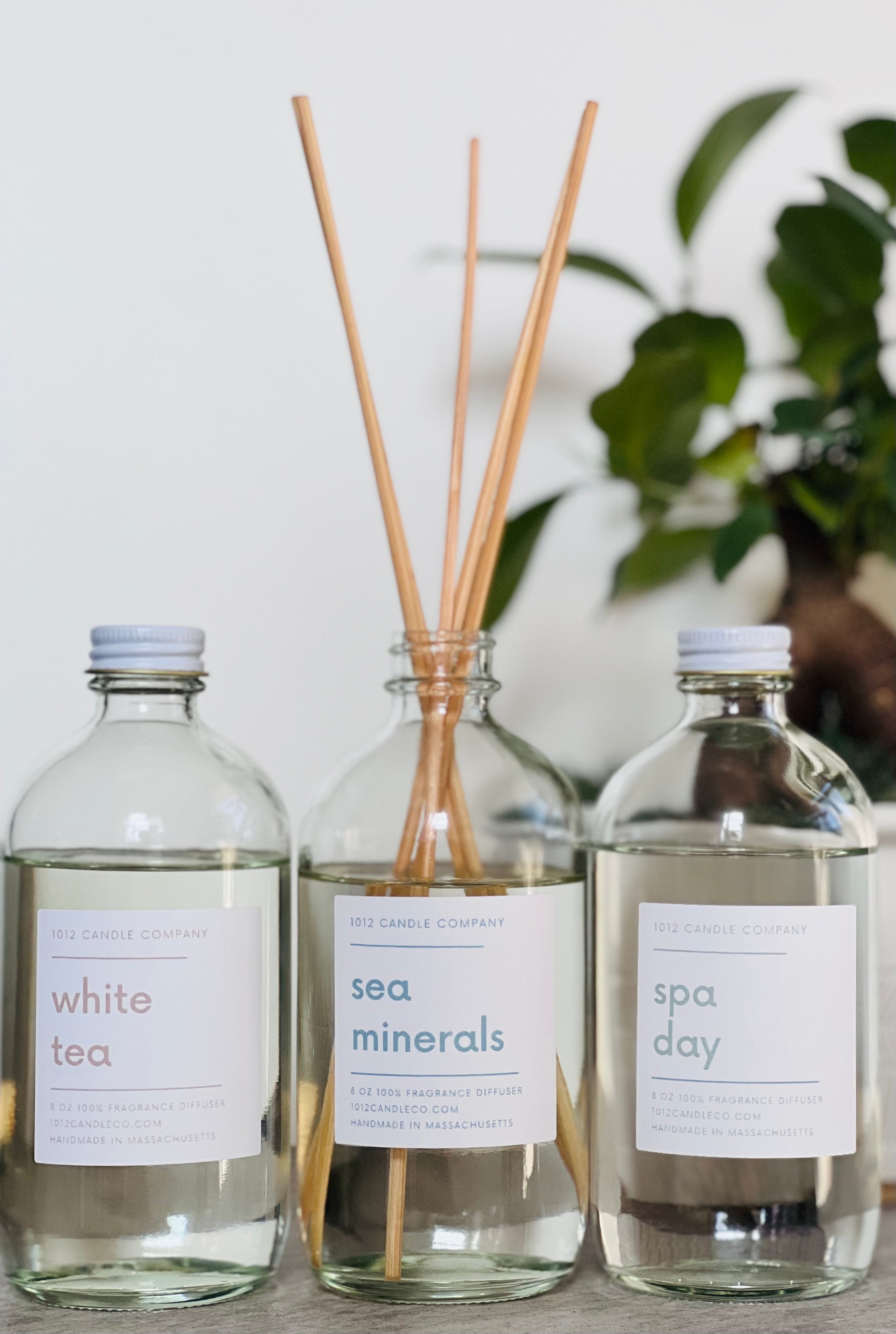 Reed Diffusers  1012 Candle Company {the self care brand}